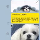 오 마이 리틀베이비 이미지