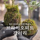 서곡길1 이미지