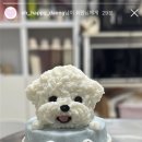 오해피댕 이미지