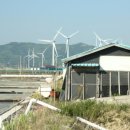 천일태양광발전소 이미지