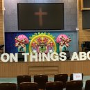 청운태권도 이미지