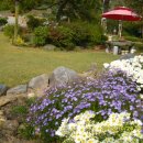 앞뜰농장 이미지