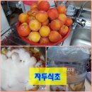 7월 11일 새콤달콤한 자두식초 만들기 이미지