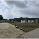 양평부자공인중개사사무소 이미지