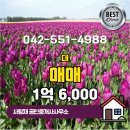 88공인중개사사무소 이미지
