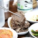 대숲마을