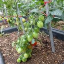 송화7단지작은도서관 이미지