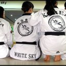 코사태권도 이미지