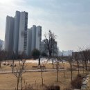임장 이미지
