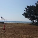 주식회사 캠핑파크