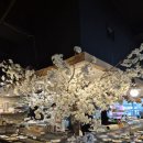 하나미 | 광교맛집 상현역맛집 가성비 스시, 하나미스시 솔직후기