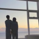 강릉 여행! 해돋이뷰 감성숙소 라미아까사 플러스동 503호 내돈내산 후기 | 기념일에 가기 좋은 겨울 풀...