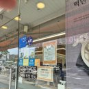 노른자분식 | 인천 쫄면 분식 맛집 신포우리만두 모래내지점 솔직후기