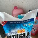세탁세제 다목적세제 더푸룸 세제혁신 통돌이 세탁조 청소 후기
