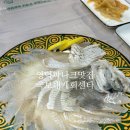 국보대게회센터강구점 | 영덕 파나크 근처 맛집 자연산 횟집 국보대게회센타 강구점