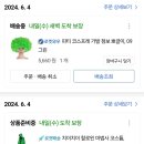 팬콘 드레스코드 녹색💚 이미지