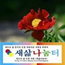 부동산 매매 관련 계시판 활성화 하겠습니다. 이미지