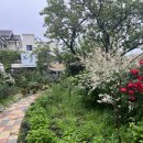 커피숍 해밀 이미지