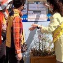 장성건강약국 이미지