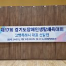 제17회 경기도장애인생활체육대회 (9/23토)(고양시 대표 선발전) 이미지