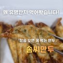 추가솜씨 | [정읍 만두 맛집] 군만두 찐만두 모두 맛본 솜씨만두 후기