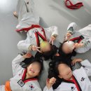 동아대이룸태권도장 이미지