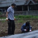 주사랑 농장 이미지