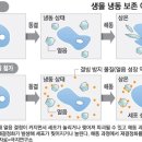 북극냉동