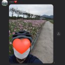 베스킨라빈스조선대 이미지