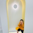 레주이 이미지