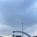 위즈덤카페 | ✍🏻 길 위의 발견을 돕는 스트릿위즈덤 - 진행 후기와 팁