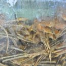 대영유통(주) 이미지