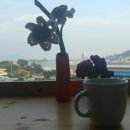 도도게스트하우스