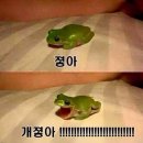 유쾌한접시 - 강남구 도산대로1길 16 | 유쾌한접시