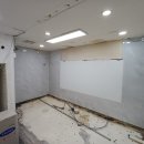 서울애견미용실 이미지