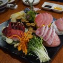 다운참치 이미지