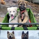 빼올농장 이미지