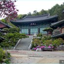 신광사 | 조치원 가볼만한곳, 신광사를 아시나요? (feat. 홍대 앞 사찰?, 입장료, 주차 꿀팁)