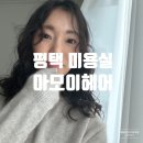 아모이헤어 이미지