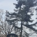 내서읍475 이미지