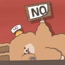 동지약국 이미지