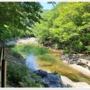 제166회 정기산행(전북 남원 지리산 뱀사골계곡 ) 이미지