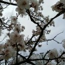 종합운동장길 이미지