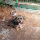 보라리농장 이미지