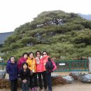 칠산초등학교 이미지