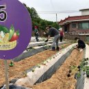 마중물 농장 이미지