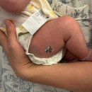 베스트병원 | 베이포투스 RSV 예방접종 후기 | 동탄 베스트아이들병원 신생아 가격 용량