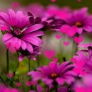 법원_경찰청 동 이미지