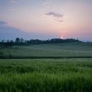 해뜨는아침농장 이미지