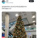 제주라서 가능한 제주공항의 크리스마스 트리 이미지